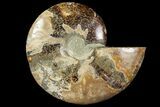 Agatized Ammonite Fossil (Half) - Crystal Pockets #114928-1